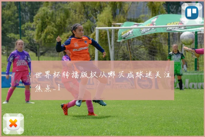世界杯转播版权从哪买成球迷关注焦点_1