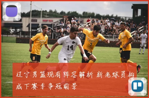 辽宁男篮现有阵容解析 新老球员构成下赛季争冠前景