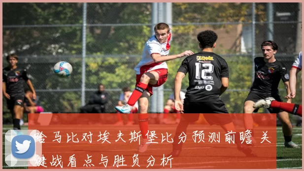 哈马比对埃夫斯堡比分预测前瞻 关键战看点与胜负分析