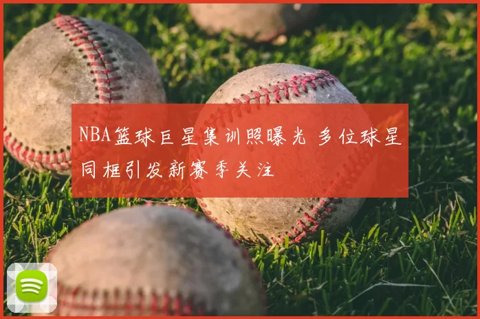 NBA篮球巨星集训照曝光 多位球星同框引发新赛季关注