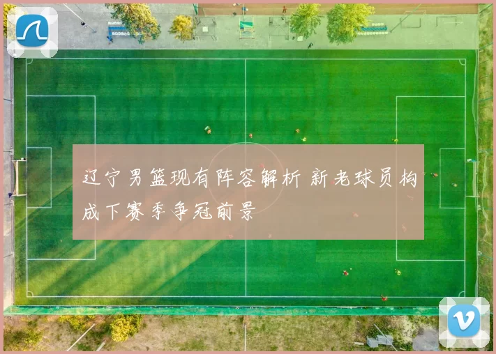 辽宁男篮现有阵容解析 新老球员构成下赛季争冠前景